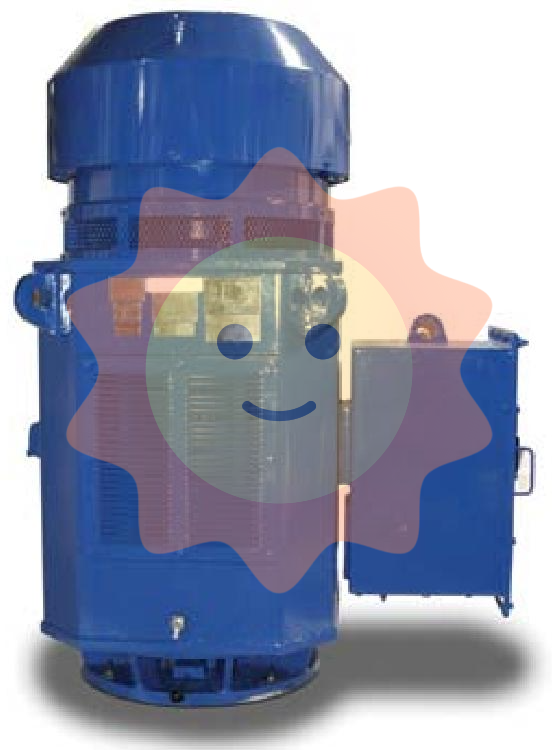 WESTINGHOUSE MAX-VH ™/ MAX-VHP ™ Series vertical hollow shaft induction motor