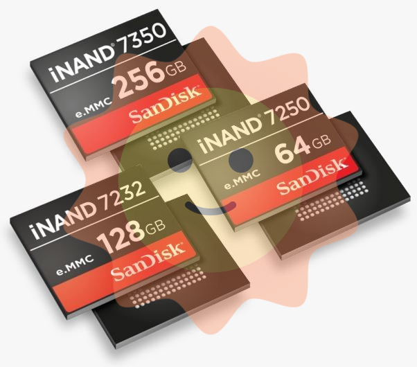 SanDisk iNAND Flash and microSD