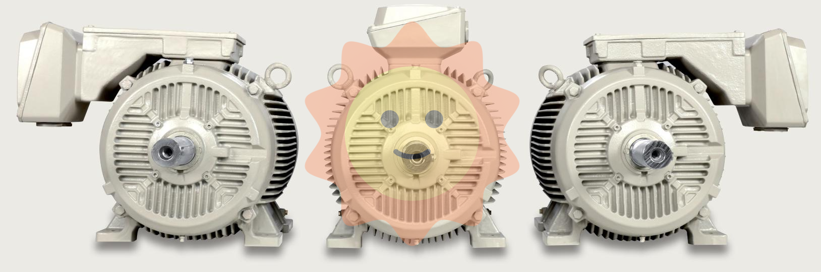 SIEMENS SIMOTICS SD 1LE7 series low-voltage motor (shaft height 71-315)