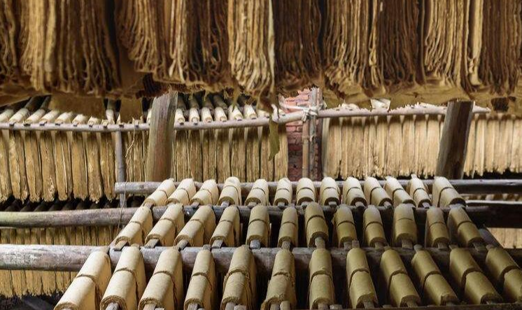 What is the future of China